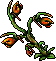 Spit Nettle