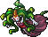 The Medusa